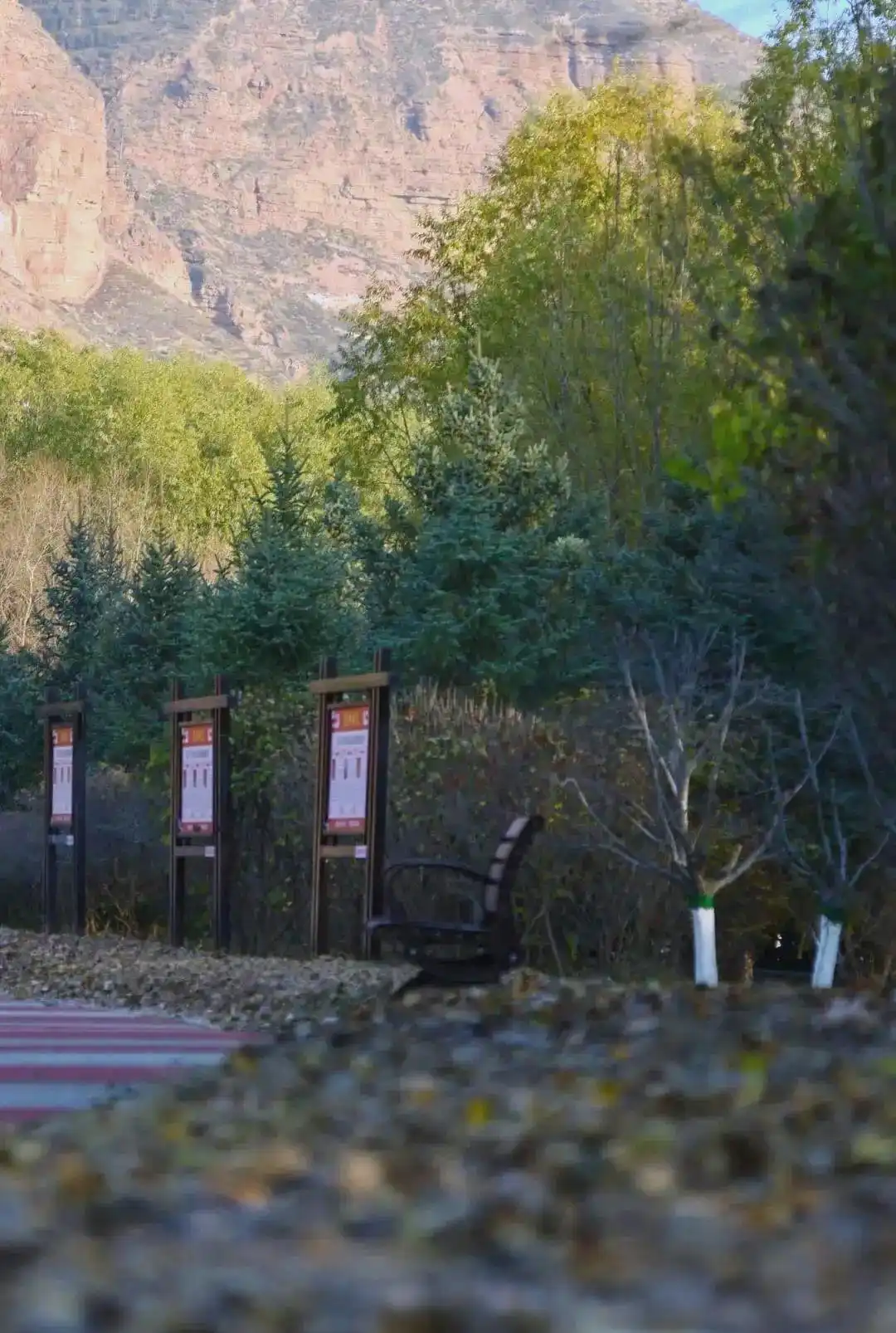 成都休闲哪里好_成都主要公园介绍_成都公园茶文化