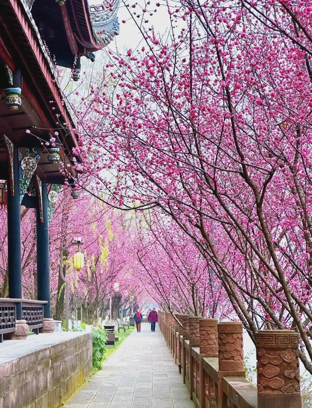 成都休闲哪里好_成都主要公园介绍_成都公园茶文化