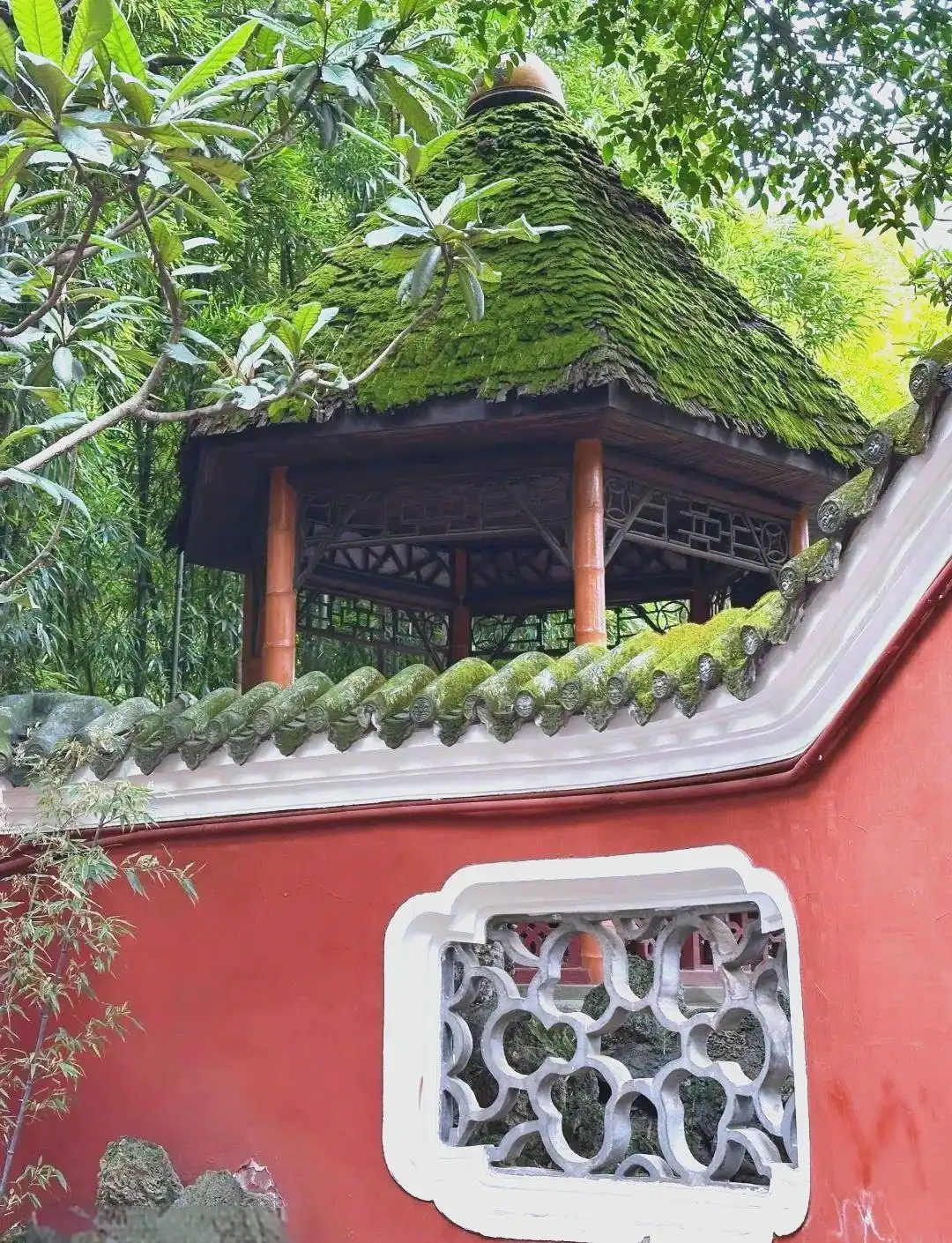 成都公园茶文化_成都主要公园介绍_成都休闲哪里好