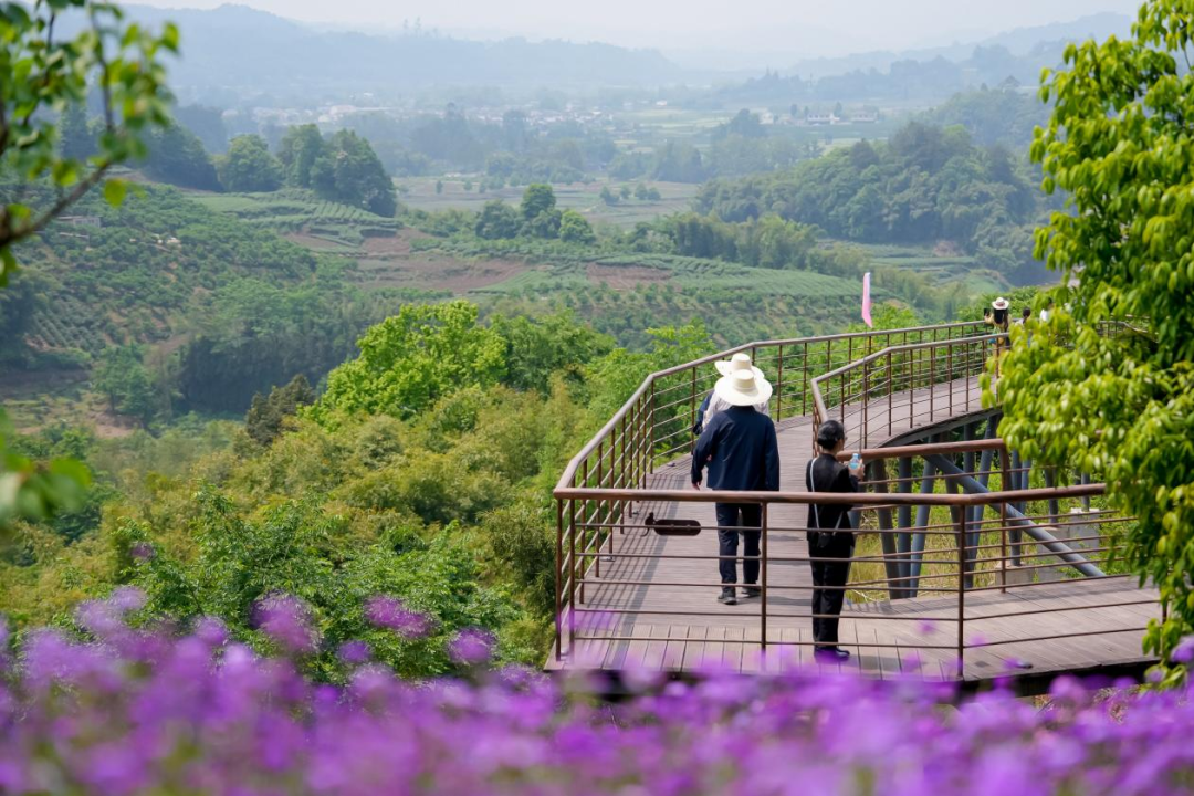 成都休闲哪里好_成都文旅新场景_成都暑期游新场景线路