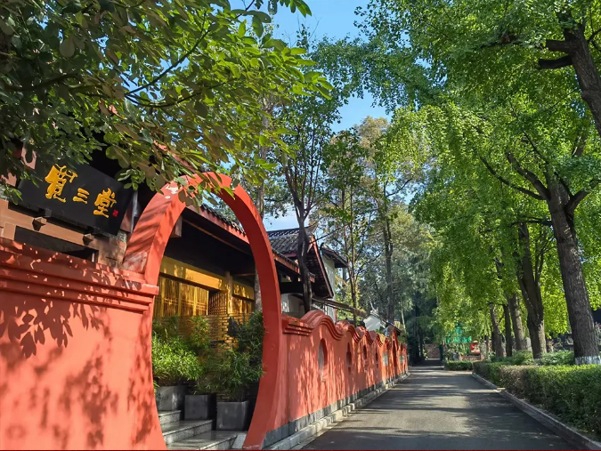 成都暑期游新场景线路_成都休闲哪里好_成都文旅新场景