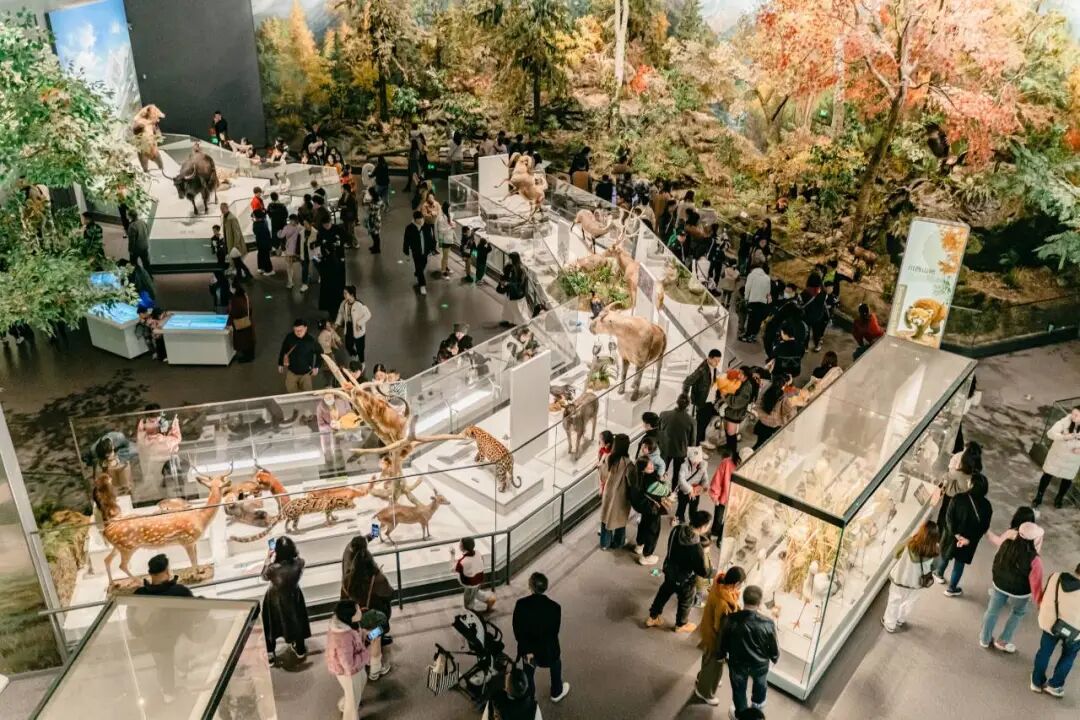 成都文旅新场景_成都休闲哪里好_成都暑期游新场景线路