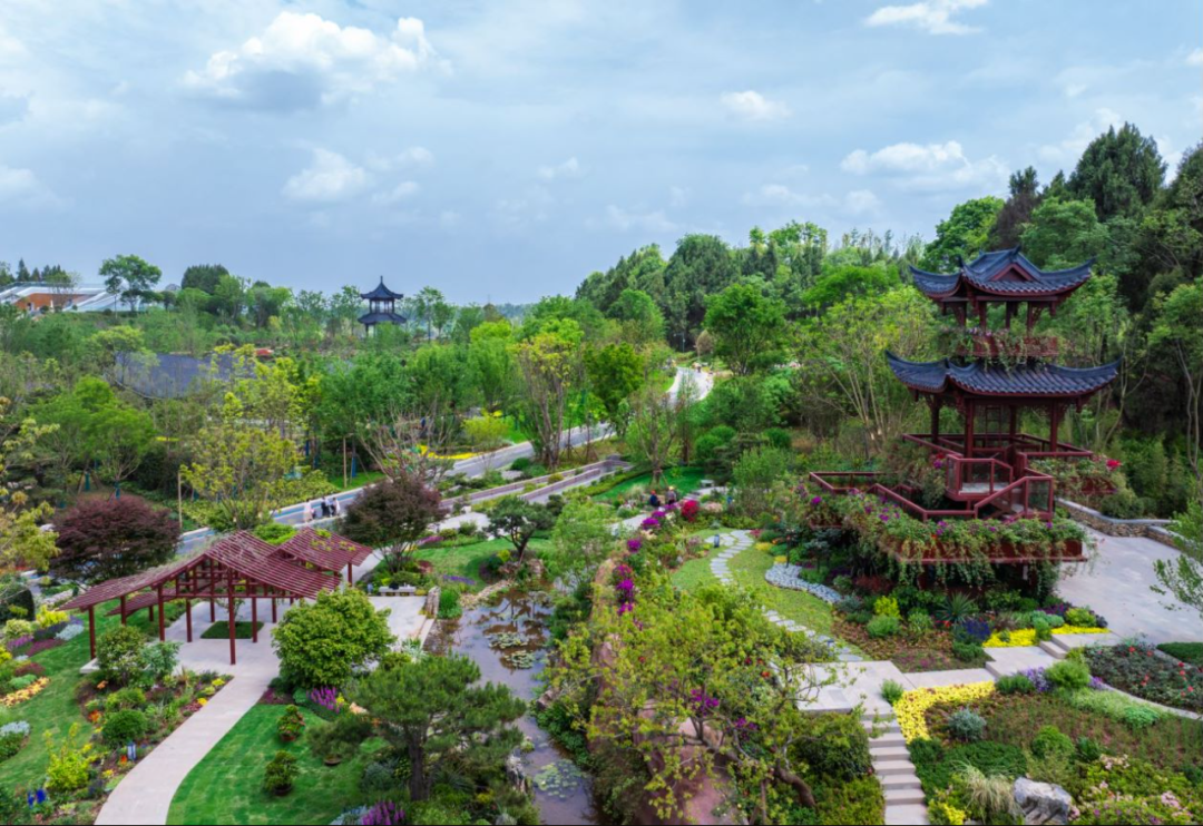 成都暑期游新场景线路_成都文旅新场景_成都休闲哪里好