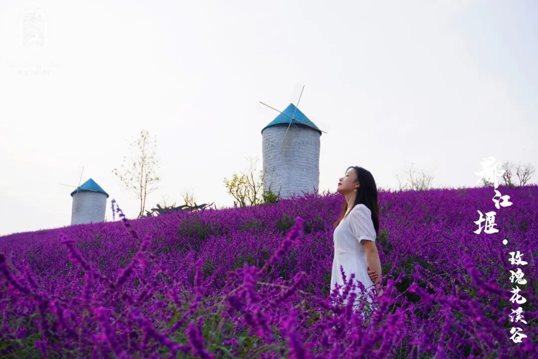 成都休闲哪里好_成都暑期游新场景线路_成都文旅新场景