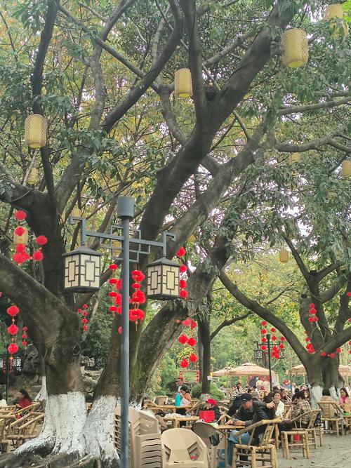 人民公园鹤鸣茶庄_成都喝茶好去处_成都休闲效果好不好