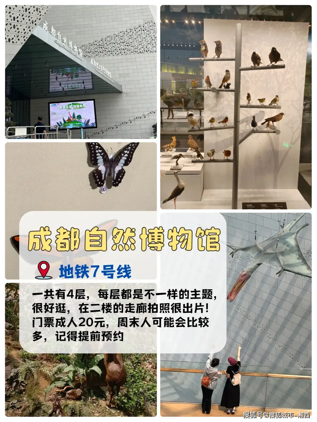 成都周边宝藏纳凉地_成都十大避暑旅游景点_成都休闲体验