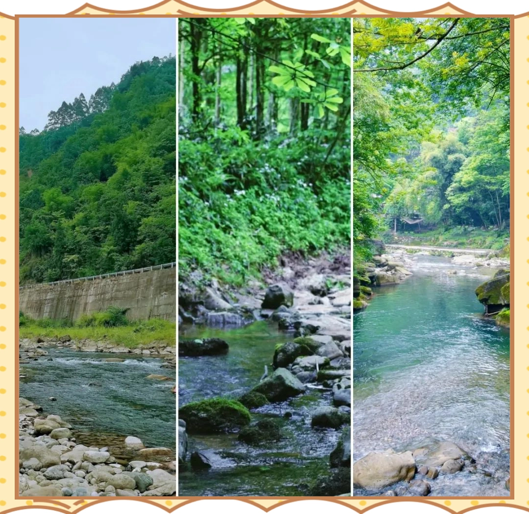 成都避暑胜地推荐_成都休闲哪里好_溪边森林的清凉