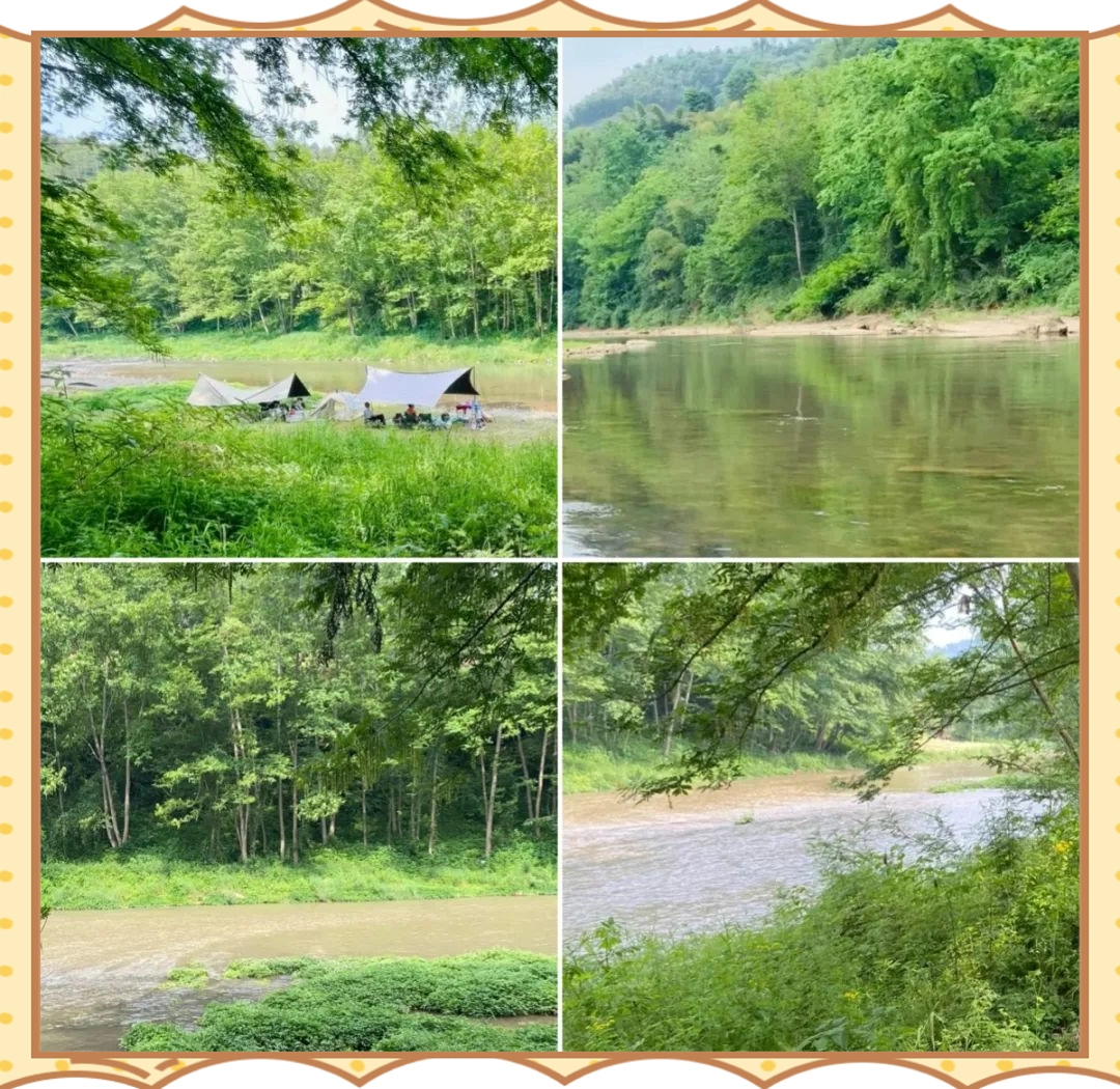 溪边森林的清凉_成都休闲哪里好_成都避暑胜地推荐