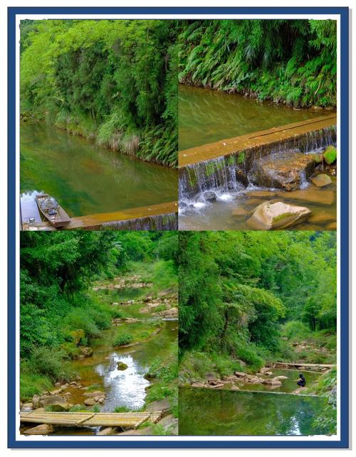 成都避暑胜地推荐_溪边森林的清凉_成都休闲哪里好