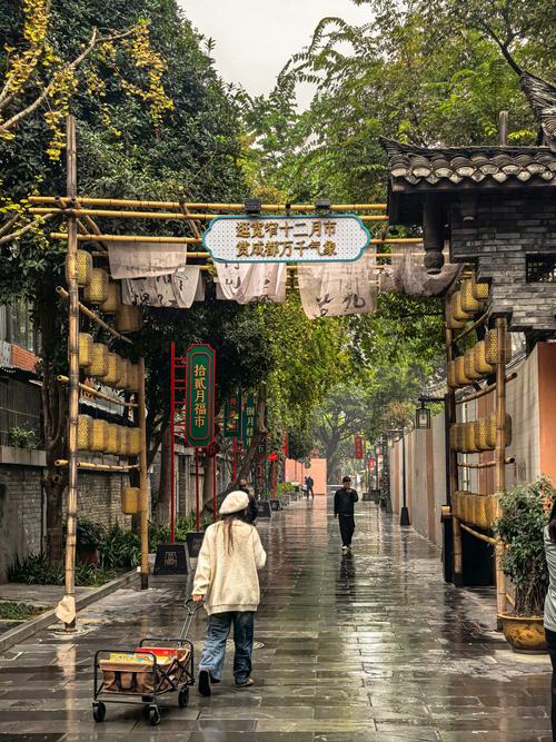 成都休闲闻名遐迩，独特慢节奏与丰富内涵，你去过吗？