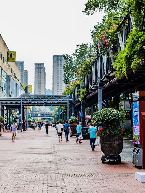 生活在成都多年，感受这座城隐匿于日常的休闲魅力